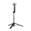 Telesin magnetic selfie stick for Iphone 12-16