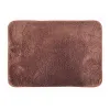 Bath rug Exma Microfibre 60 x 40 cm