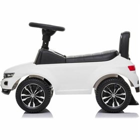 Tricycle Buddy Toys