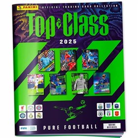 Pack of stickers Panini