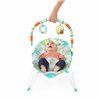 Baby Hammock Bright Starts Rainforest