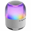 Portable Bluetooth Speakers Mars Gaming MSFLOWW Silver 15 W 4 W