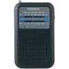 Transistor Radio Daewoo DW1008GR Black Retro