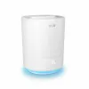 Humidifier Scent Diffuser SPC EVANDE 5 L