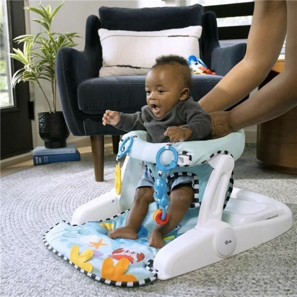 Hammock Baby Einstein Blue
