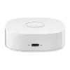 Smart home WS2GW-R WiFi