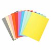 Subfolder Exacompta 410000E A4
