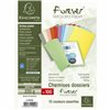 Subfolder Exacompta 410000E A4