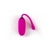 Vibrators Egg Virgite Rozā