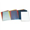 Organiser Folder Esselte Transparent Din A4