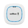 Maitinimo kištukas Wallbox