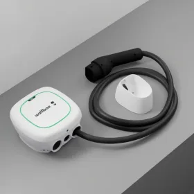 Maitinimo kištukas Wallbox