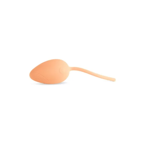 Vibrators Egg S Pleasures Persiku