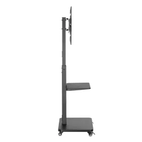 TV Statīvs TM Electron 40 kg