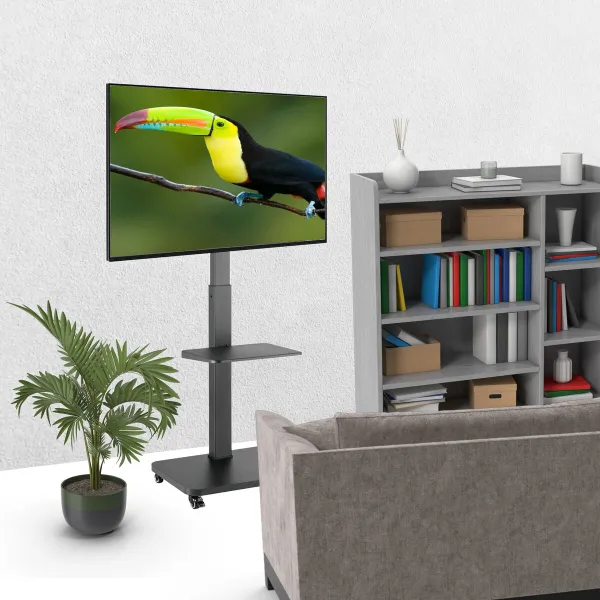 TV Statīvs TM Electron 40 kg