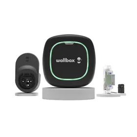 Maitinimo kištukas Wallbox