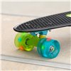 Skateboard EVO (4 Units)