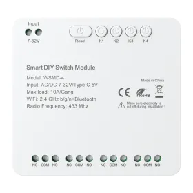 DIY Avatto WSMD-4 32V smart switch module