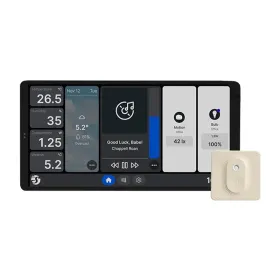 Панель управления Shelly WALL DISPLAY X2(SL)+BLUHT(IVO)