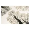 Kangas Puud 120 x 4 x 80 cm