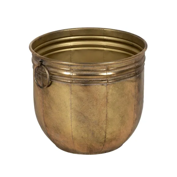 Planter Golden Iron (3 Units)