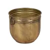 Planter Golden Iron (3 Units)