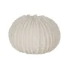 Desk lamp White