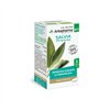 Arkopharma Arkocapsulas Sage 45 Capsules