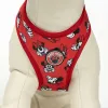 Koera rakmed Minnie Mouse XS