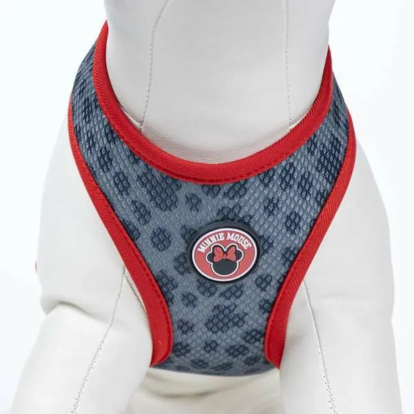 Koera rakmed Minnie Mouse
