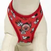Koiran valjaat Minnie Mouse