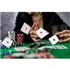 Poker - 500 Chips Set in Case HQ 23529