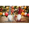 Standing gnome - set of 2