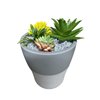 Setty humidifier NP-18 grey