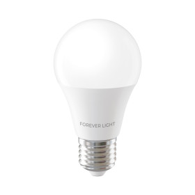 Forever Light LED Bulb E27 A55 4W 480lm 4000K class E