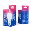Forever Light LED Bulb E27 A60 7W 806lm 6000K class E
