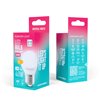 Forever Light LED Bulb E27 G45 4.2W 480lm 4000K class E