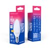 Forever Light LED Bulb E14 C37 2.2W 260lm 6000K class E
