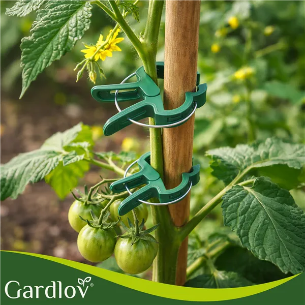 Taimeklambrid - 108 tk. Gardlov 22586