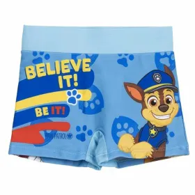 Мальчик-боксер The Paw Patrol