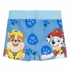 Мальчик-боксер The Paw Patrol