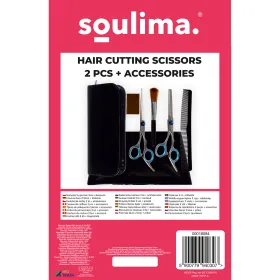 Hairdressing scissors 2 pcs + accessories
