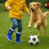 Bērnu zābaciņi Real Madrid C.F.