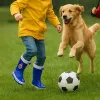 Bērnu zābaciņi Real Madrid C.F. Zils