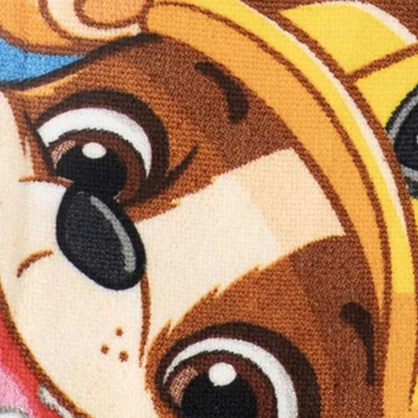 Rantapyyhe The Paw Patrol Sininen