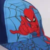 Vaikiška kepurė Spider-Man Mėlyna