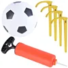 Soccer goal + ball + pump 23459