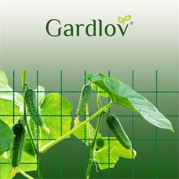 Augu balsta siets 2x10m Gardlov 23978