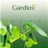 Tinklas - augalų atrama 2x20m Gardlov 23980