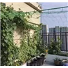 Mesh - plant support 2x20m Gardlov 23980